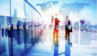 玉樹正規(guī)企業(yè)管理咨詢服務(wù)新報(bào)價(jià) 誠哲供應(yīng)專業(yè)推薦