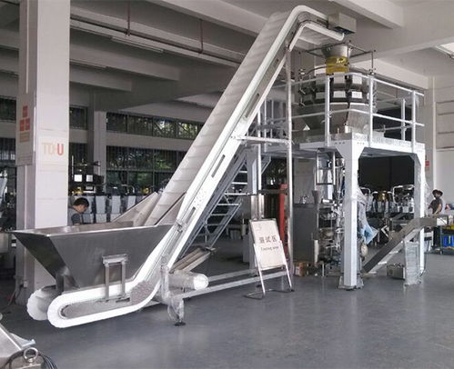 安徽天之業(yè) 以智能包裝機(jī)械賦能速凍產(chǎn)業(yè)，助力青島企業(yè)高效節(jié)省人力